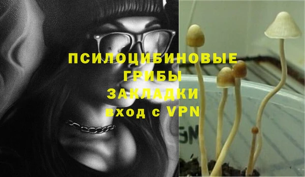 мдпв Богданович