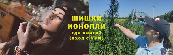 гашик Белоозёрский