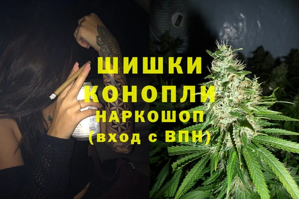 гашик Белоозёрский