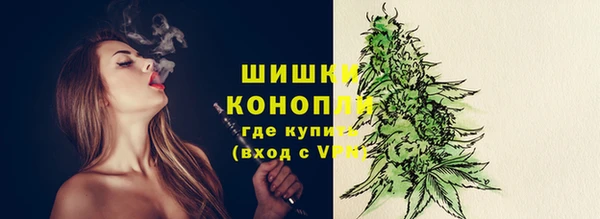 гашик Белоозёрский