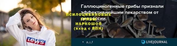 ALPHA PVP Беломорск